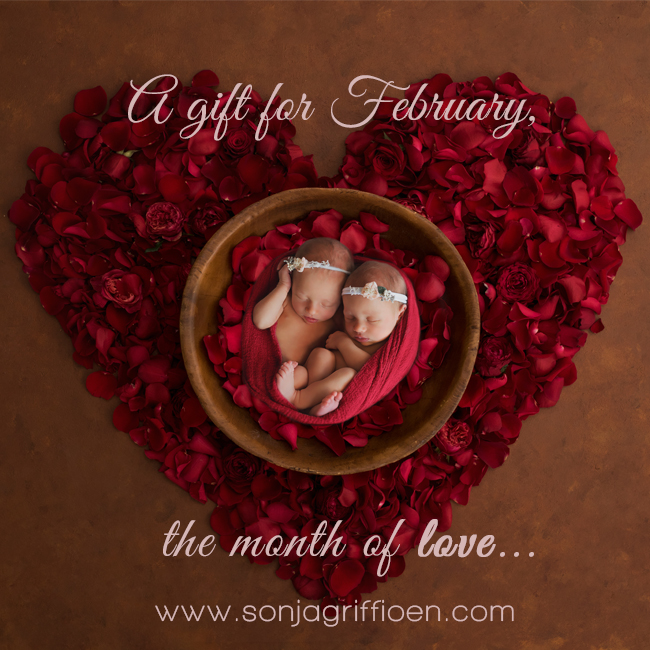 A gift of love, the month of February, Valentines day, gift, celebrate love, valentines gift idea, newborn photography, pregnancy, baby shower, new baby, baby photos, Brisbane newborn photographer